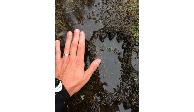 Hotel CROCUS **** Vysoké Tatry